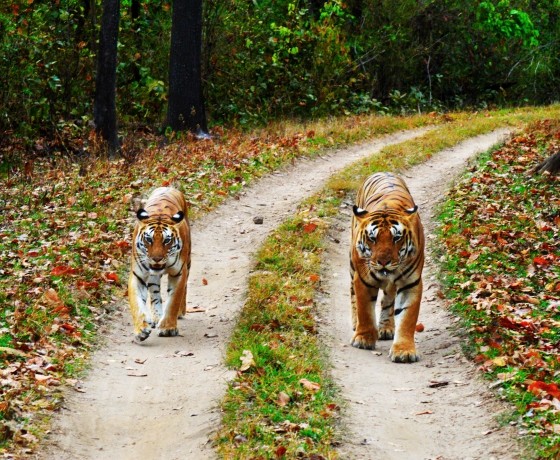 Madhya Pradesh